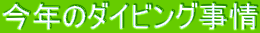 ���N�̃_�C�r���O����