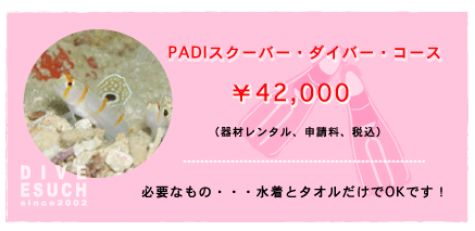 PADI�X�N�[�o�[�_�C�o�[�R�[�X�@�_�C�u�E�G�X�[