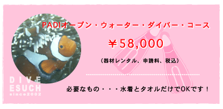 PADI�I�[�v���E�H�[�^�[�E�_�C�o�[�E�R�[�X�@�_�C�u�E�G�X�[
