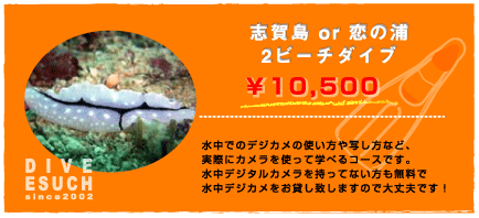 �u�꓇2�r�[�`�_�C�u�@�_�C�u�E�G�X�[