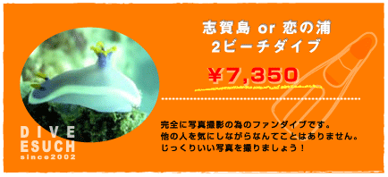 �u�꓇2�r�[�`�_�C�u�@�_�C�u�E�G�X�[