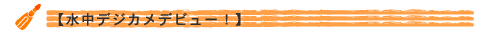 �����f�W�J���@�_�C�u�E�G�X�[