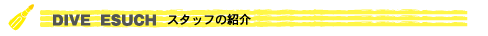 �X�^�b�t���L�@�_�C�u�E�G�X�[
