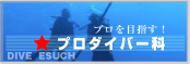 �v���_�C�o�[�ȃ_�C�u�G�X�[
