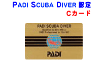 PADI SCUBA DIVER 認定 Cカード